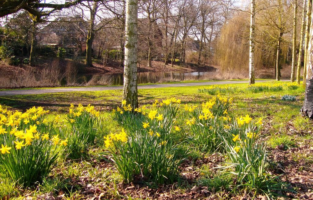 Vivere Ad Parcum - Bed And Breakfast Krefeld Eksteriør bilde