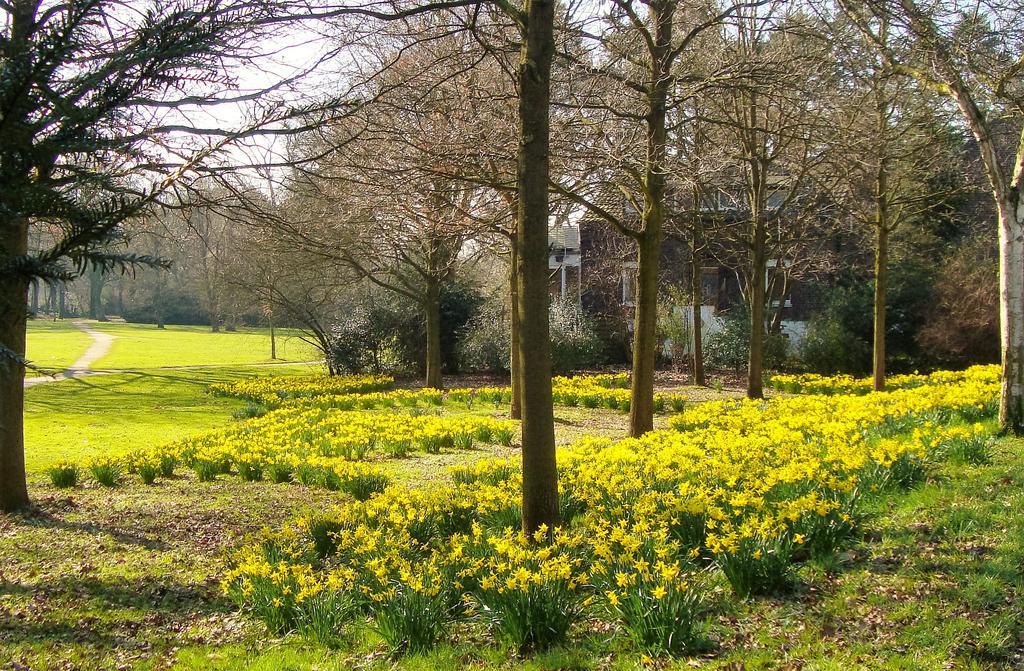 Vivere Ad Parcum - Bed And Breakfast Krefeld Eksteriør bilde