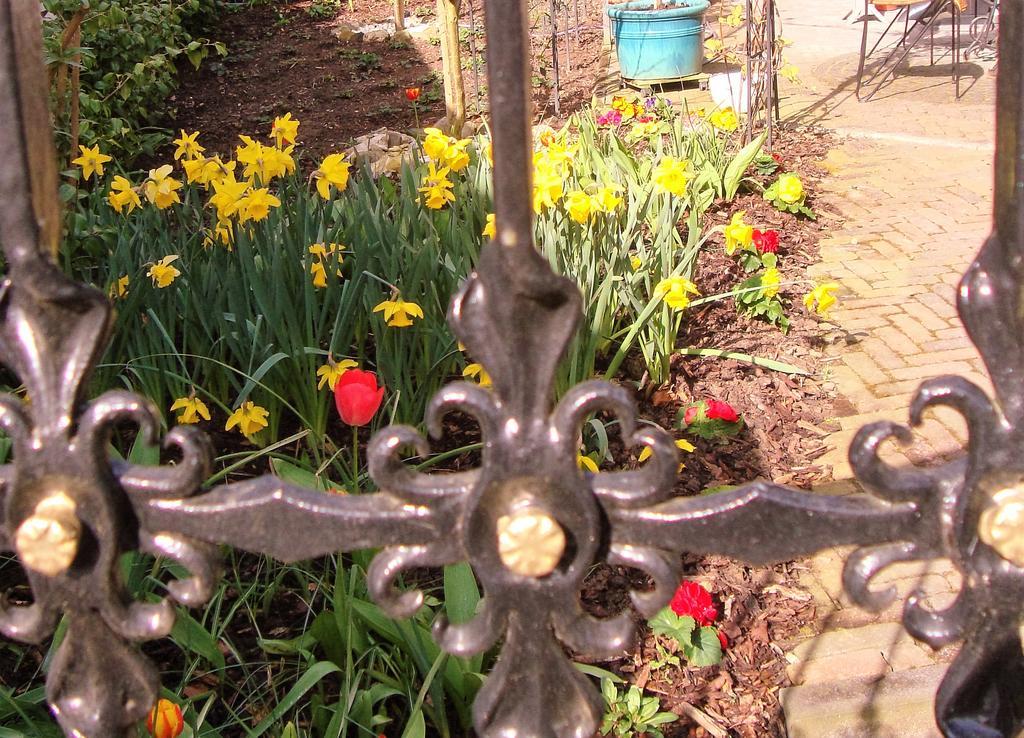 Vivere Ad Parcum - Bed And Breakfast Krefeld Eksteriør bilde